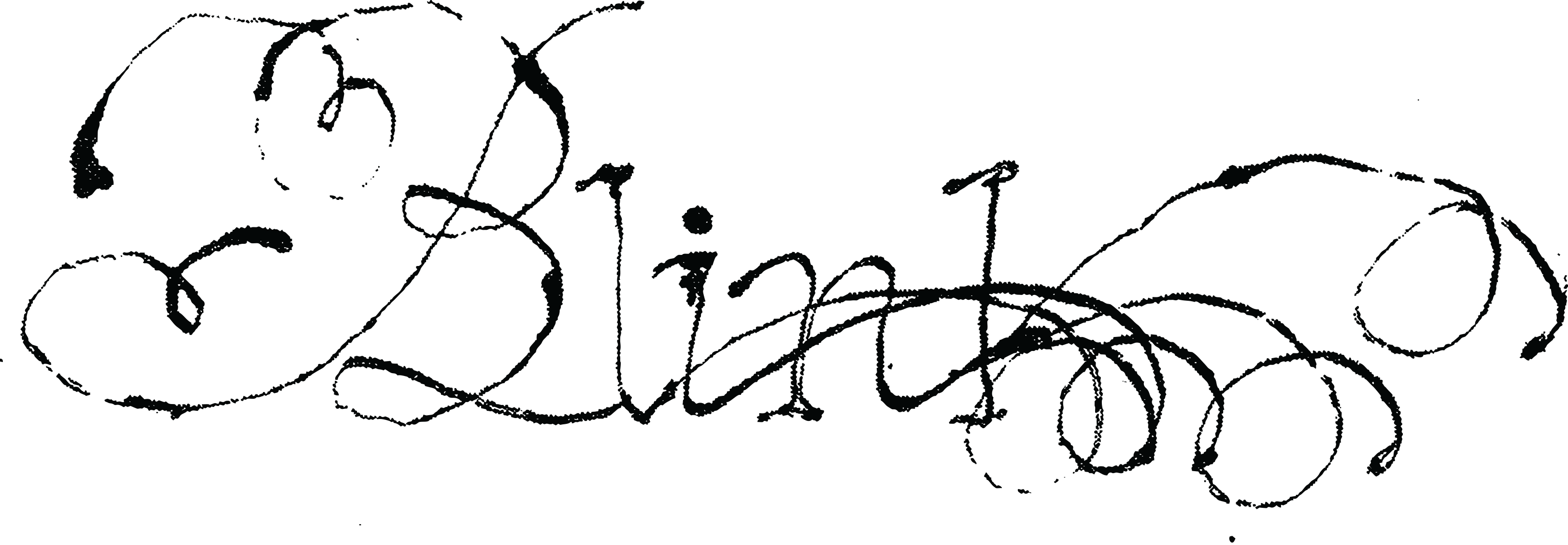 'Blink' in a stylised font.
